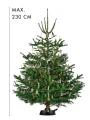 94219green-line-comfort-grip-smit-weihnachtsbaum.webp