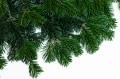 IMG_5252.JPG