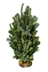 Mini choinka dekoracyjna Jodła Nobilis 50 cm