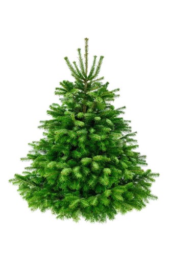 foto_9.jpg
