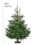 94229green-line-comfort-grip-mwebbilder4.webp