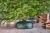 94335x-280mood-1jpg_7ba7fe52-c84d-45a3-873d-08de40af7108.webp