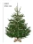 95021krinnerkopenhagenweissamazonbilder4.webp