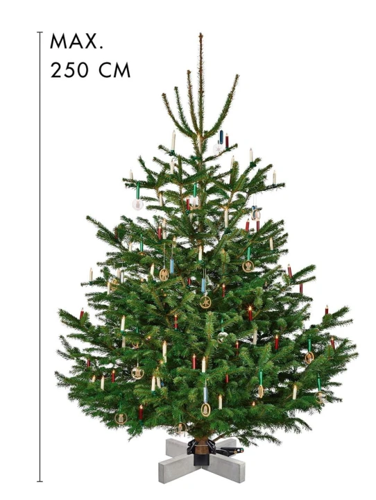 95022kopenhagenbetonamazonbild5.jpg