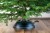 94020vario-classic-in-outcbsjpg.jpg