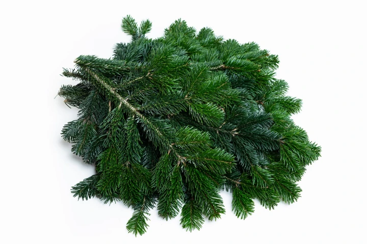 Zestaw gałązek na wianek obustronny- 15 cm