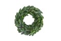 IMG_7783_1[1].jpg
