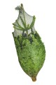foto_4.jpg