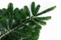 IMG_5269.JPG